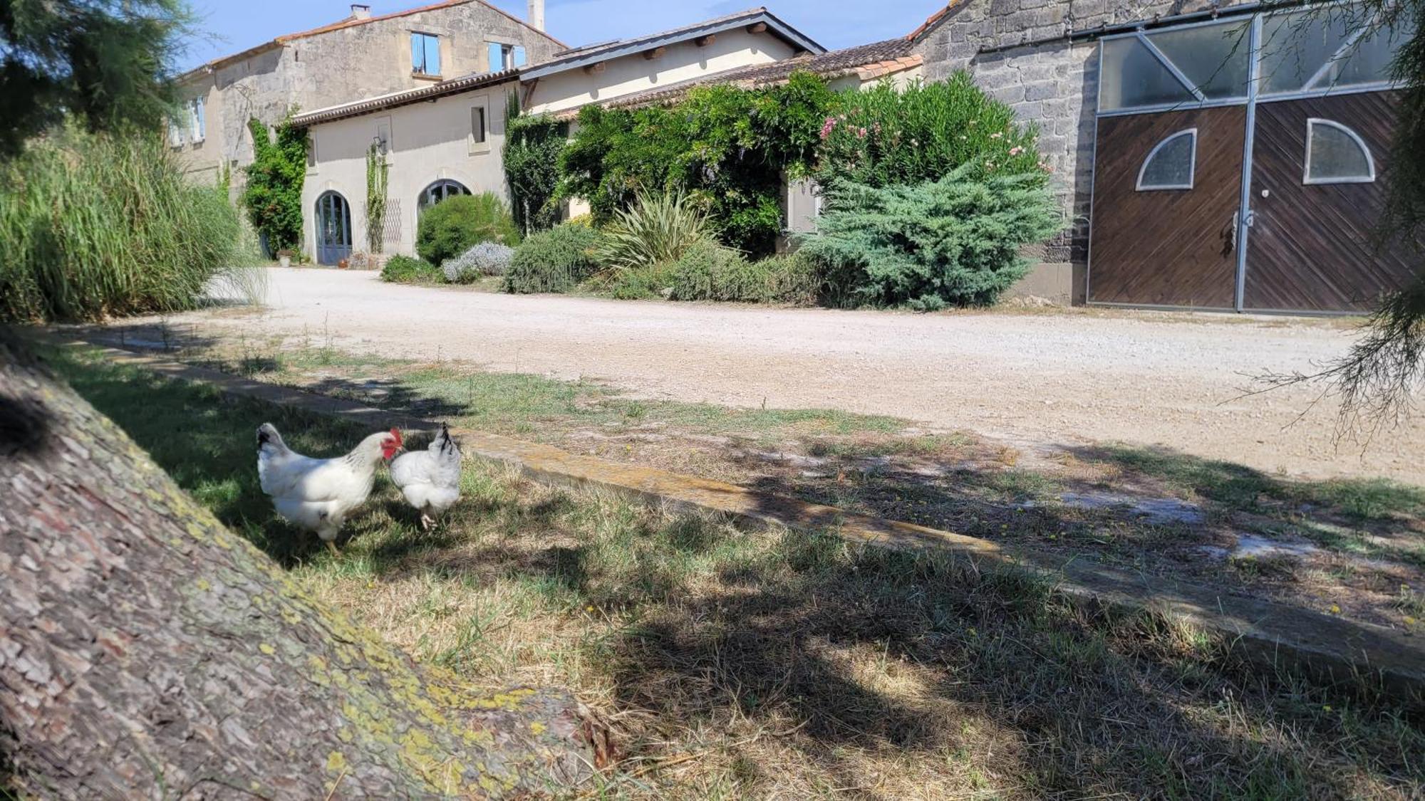 Mas Du Grand Peloux Hotel Port-Saint-Louis-du-Rhône Eksteriør billede